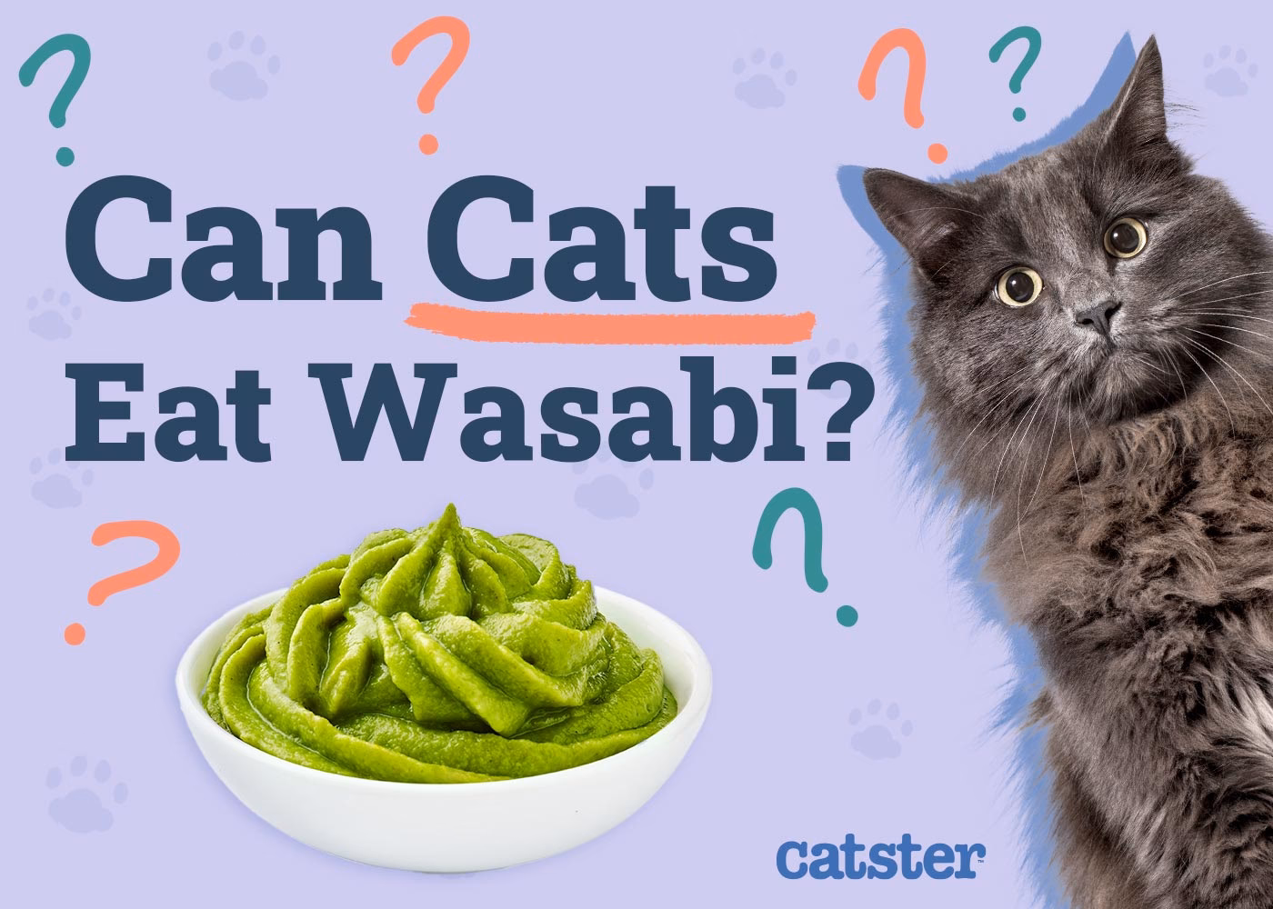 Is wasabi poisonous to animals?