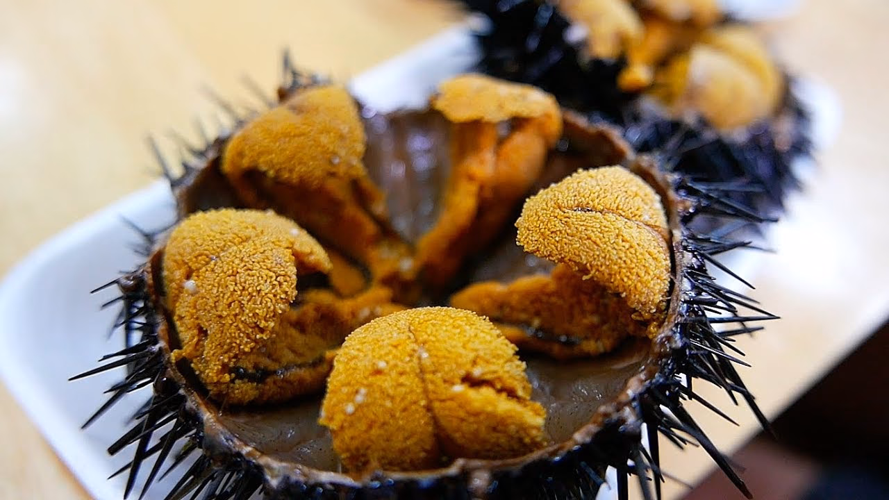 Is sea urchin sashimi good?