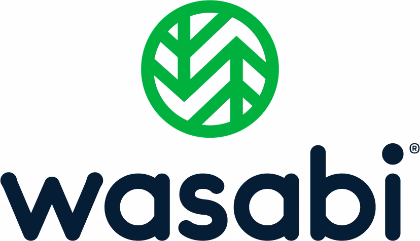 Is Wasabi cloud storage good?